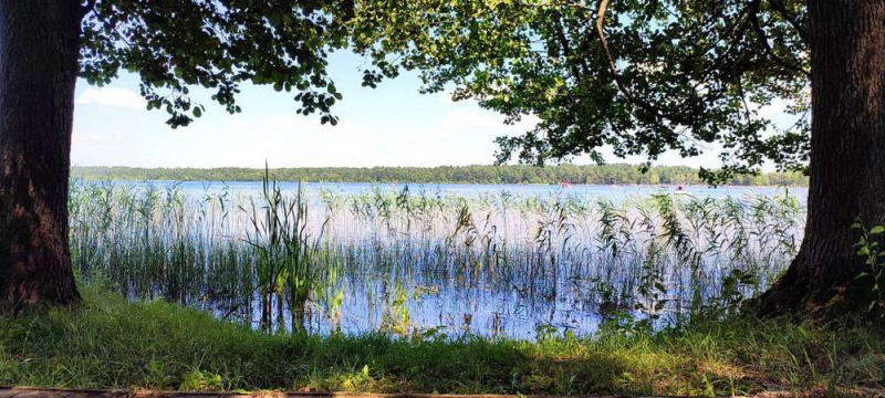 Цілюща вода, інстаграмні локації, смаколики та повістки: «родзинки» відпочинку на Шацьких озерах під час війни