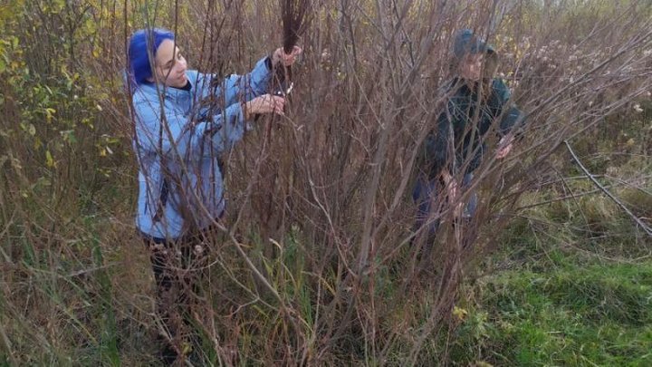 Ще 6 елементів культури Волині визнано нематеріальною спадщиною — серед них роги до короваю і вареники