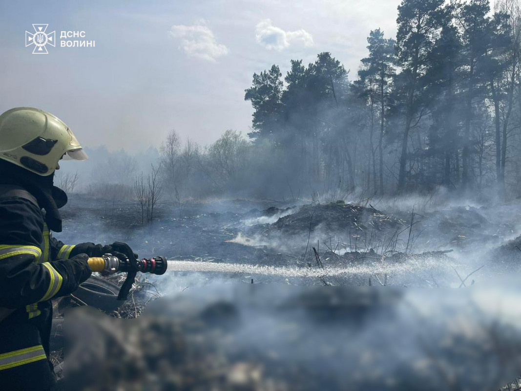 Через підпали на Волині за добу вигоріло понад 12 гектарів сухостою