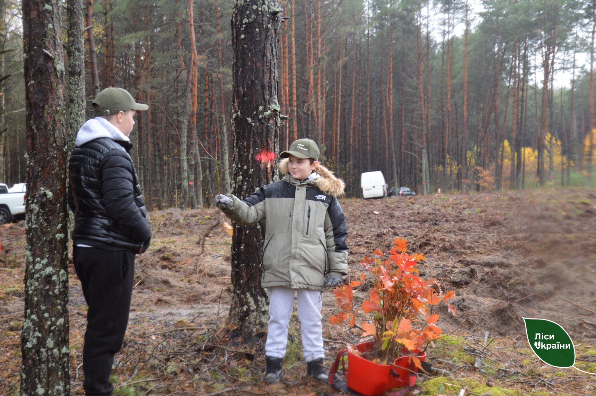 На Волині висадили «Ліс памʼяті» на честь воїна-лісівника Миколи Курана