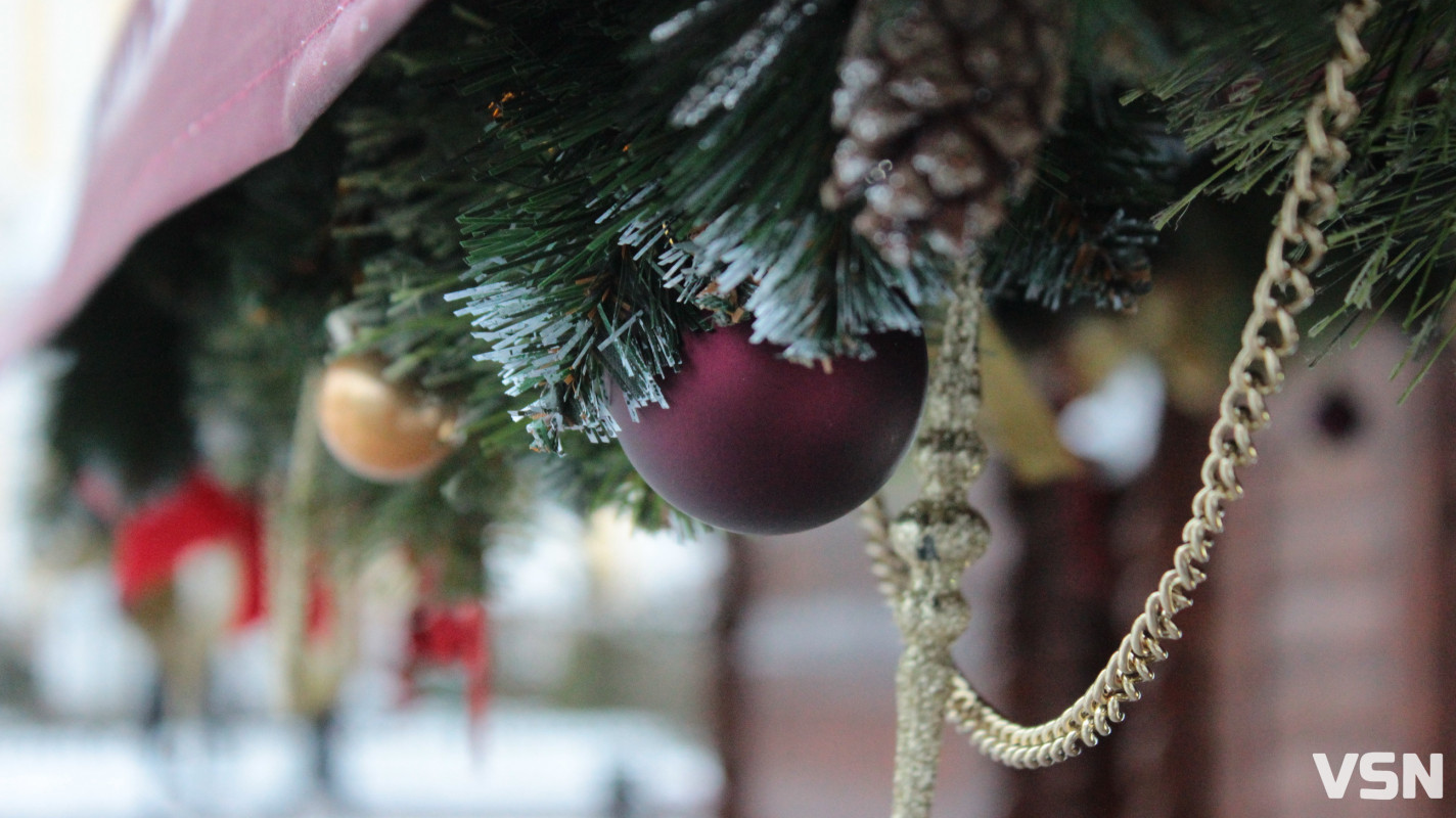 Засніжений Луцьк: як виглядають парки та двори міста взимку напередодні Нового 2026 року. Фоторепортаж