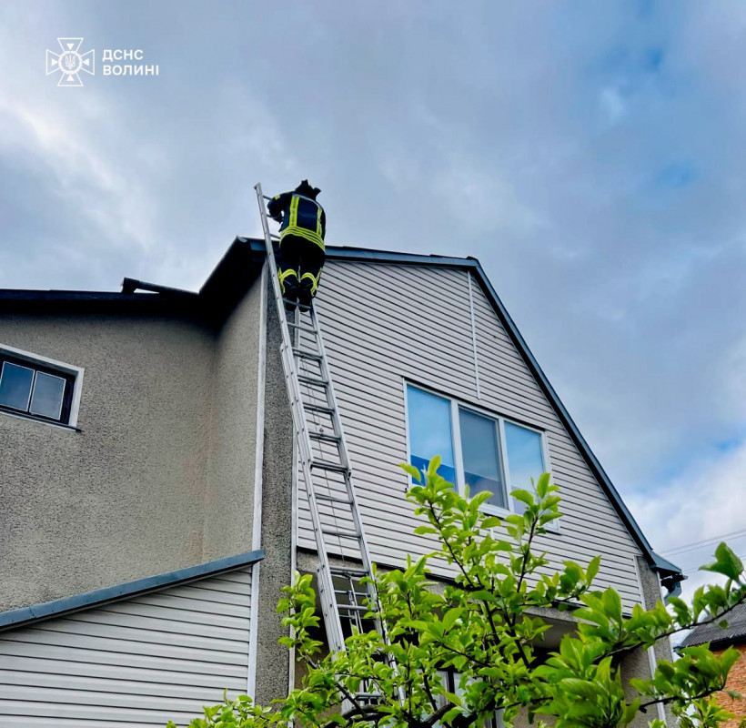 У Луцькому районі через негоду пошкоджені дахи, повалене дерево впало на авто