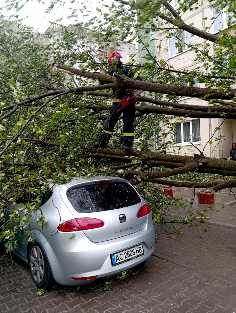 У Луцькому районі через негоду пошкоджені дахи, повалене дерево впало на авто