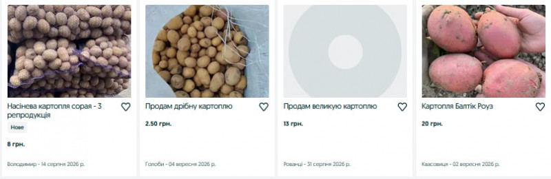 Скільки коштує картопля на Волині у вересні: ціни у продавців та заготівельників
