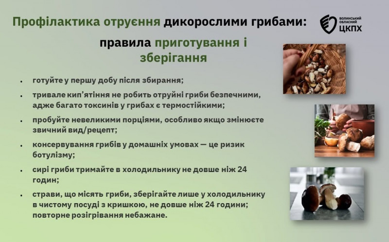 На Волині дві жінки отруїлися дикорослими грибами - що відомо