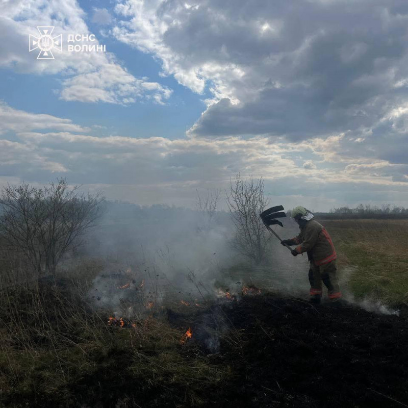 На Волині вигоріло понад 3 гектари через сухостою через людську недбалість