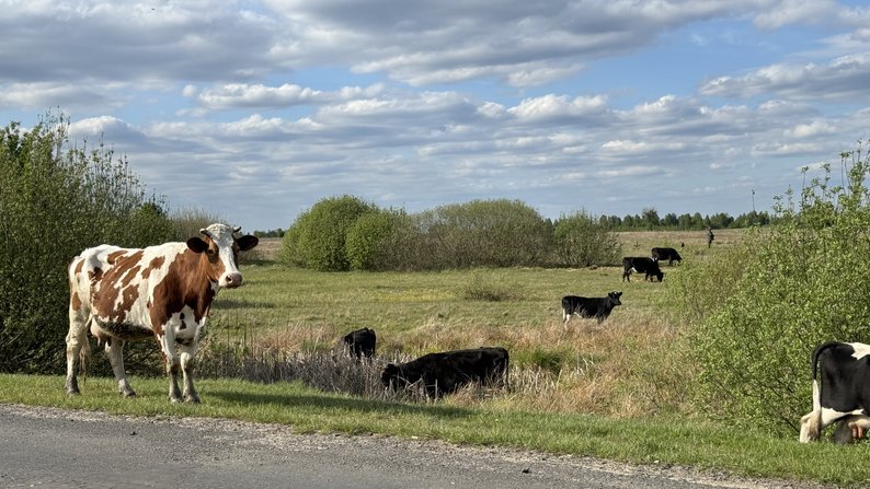 Понад 190 матерів-героїнь: як живе унікальне волинське село, де майже кожна мама – багатодітна
