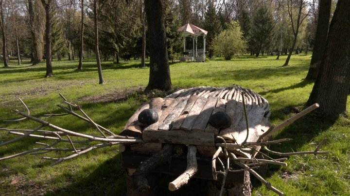 60 гектарів зелені: як у Луцьку доглядають за міськими парками