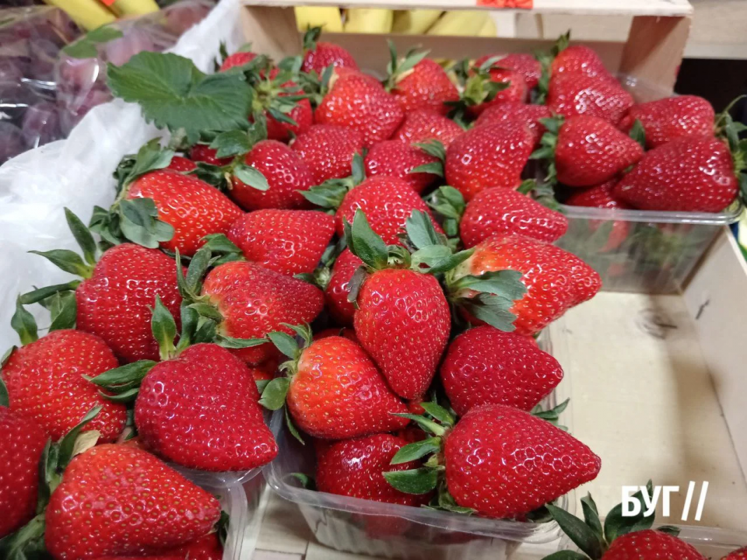 Весна вже на ринку: на Волині продають першу полуницю та розсаду — які ціни