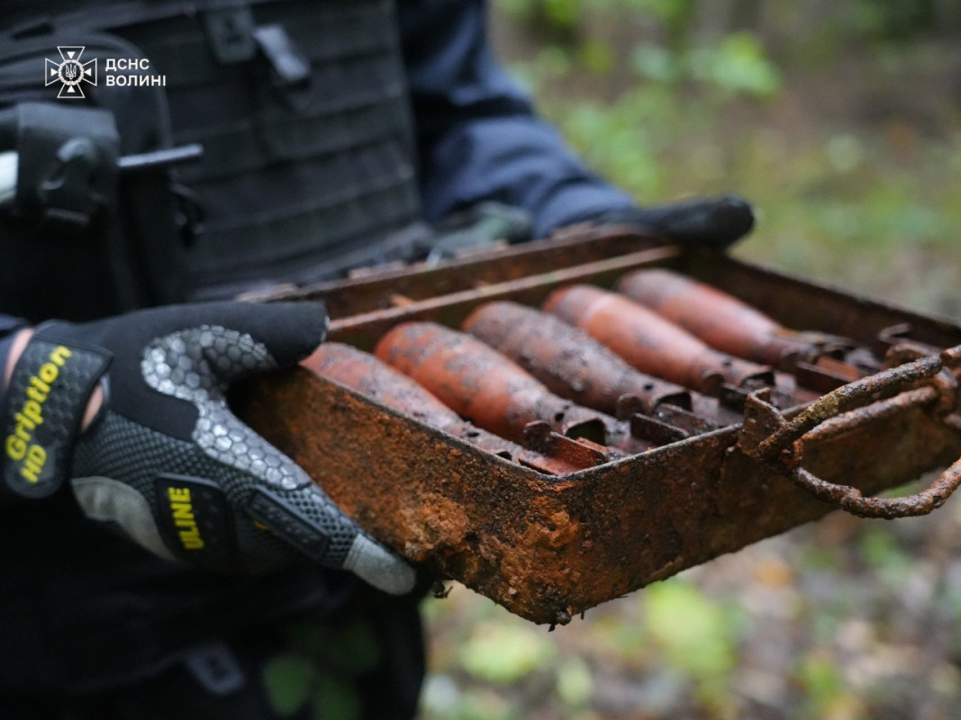 На Волині виявили майже сотню боєприпасів часів Другої світової війни