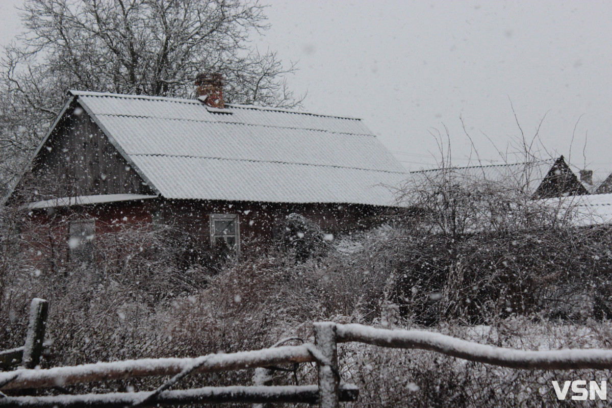 Тунелі у кучугурах та іспити морозом: спогади волинян про справжні поліські зими