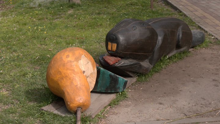 60 гектарів зелені: як у Луцьку доглядають за міськими парками