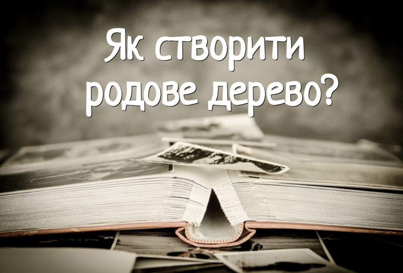 Як побудувати родове дерево для збереження історії роду: покрокова інструкція від нардепа з Волині