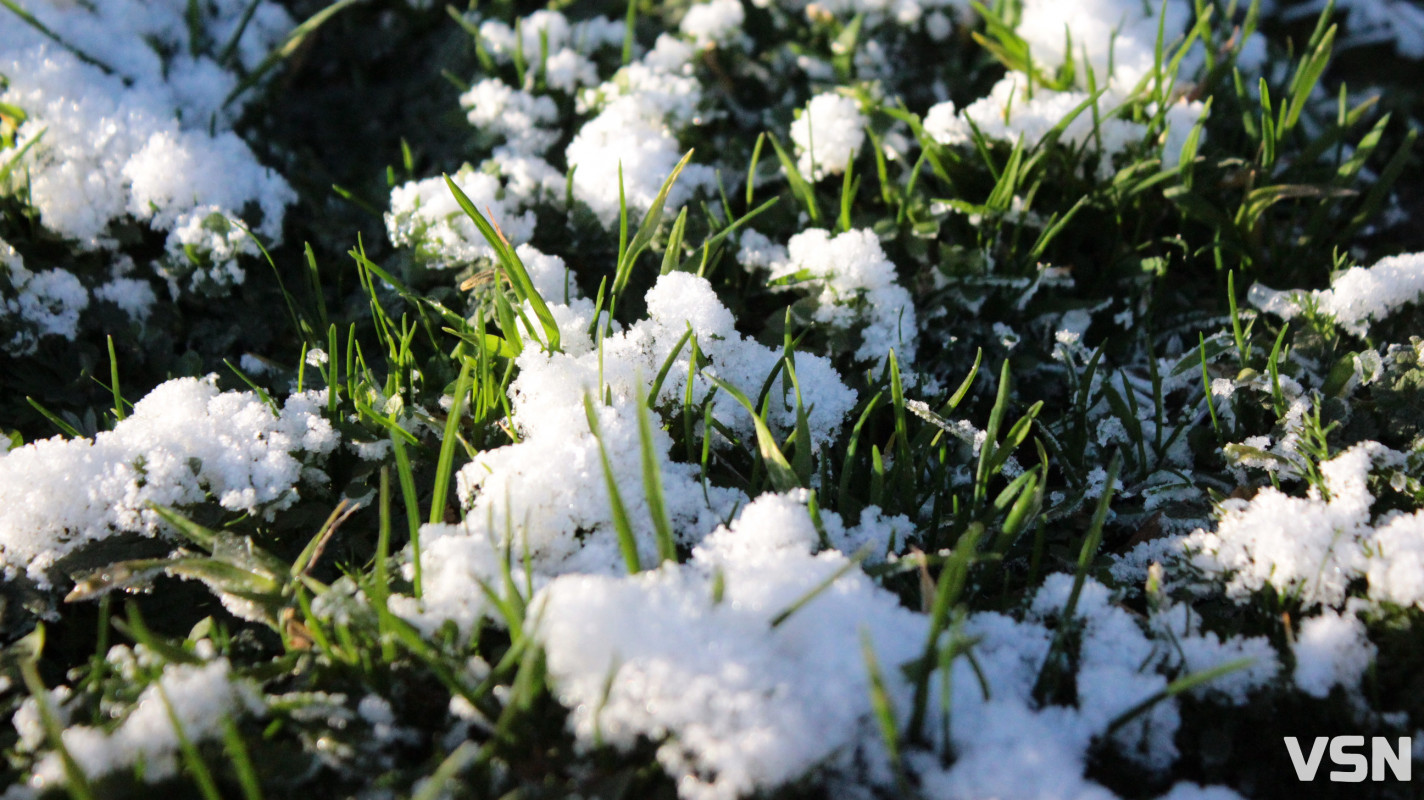Засніжений Луцьк: як виглядають парки та двори міста взимку напередодні Нового 2026 року. Фоторепортаж