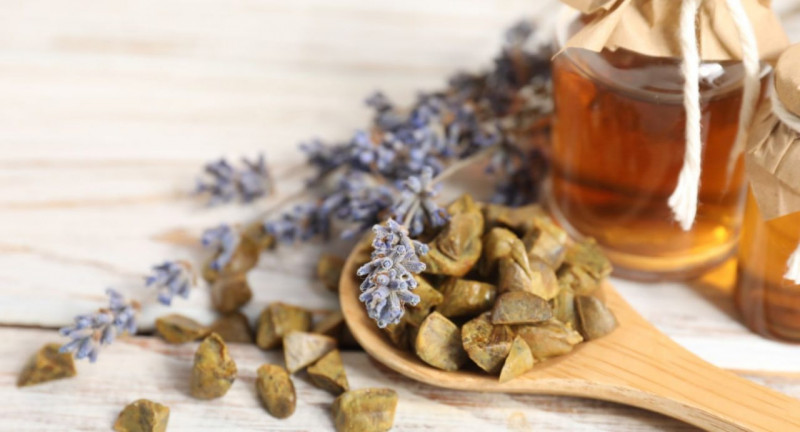 Замість аптечних антибіотиків: волинський пасічник розповів, як  приготувати мазь із прополісу