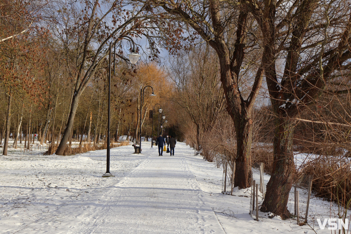 Як виглядає центральний парк у Луцьку у перші дні 2026 року. Фоторепортаж