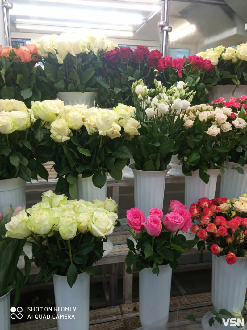 День закоханих: скільки коштують квіти у Луцьку