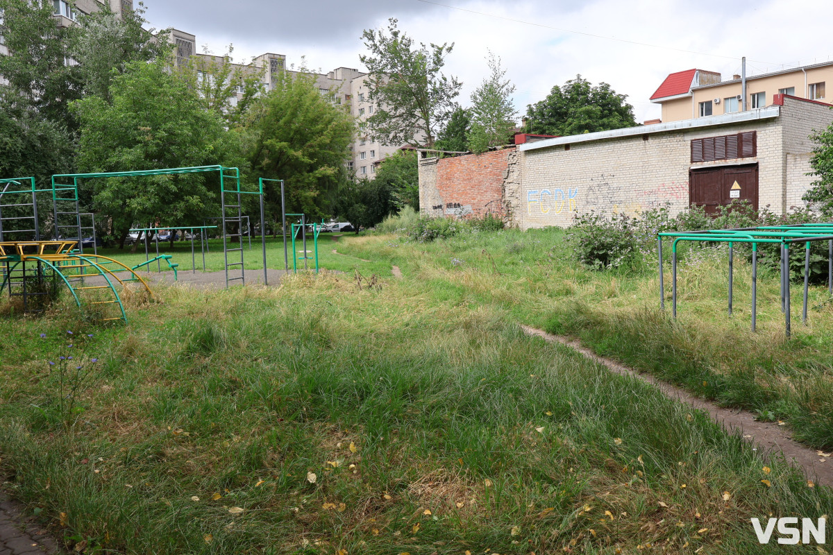 «Вишкірив зуби і був готовий нападати»: у Луцьку бояться агресивних безпритульних собак