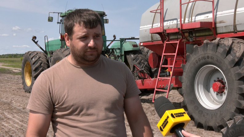 Завадили дощі: на Волині гречку сіють із запізненням