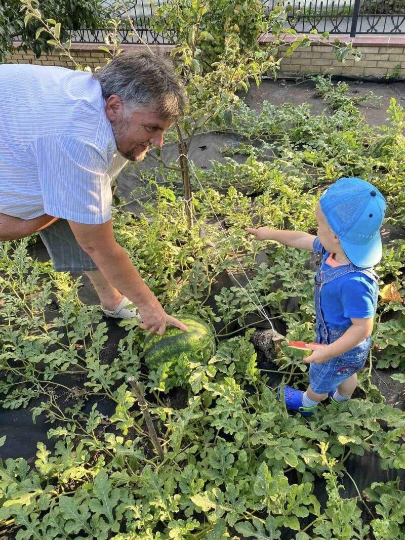 Господарюють у саду та в городі: сім'я священника з Луцького району вирощує овочі, фрукти і кавуни