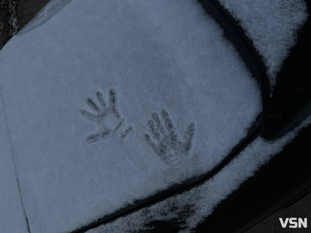 Від перших снігів до лютневих відлиг: якою була зима у Луцьку. Фоторепортаж