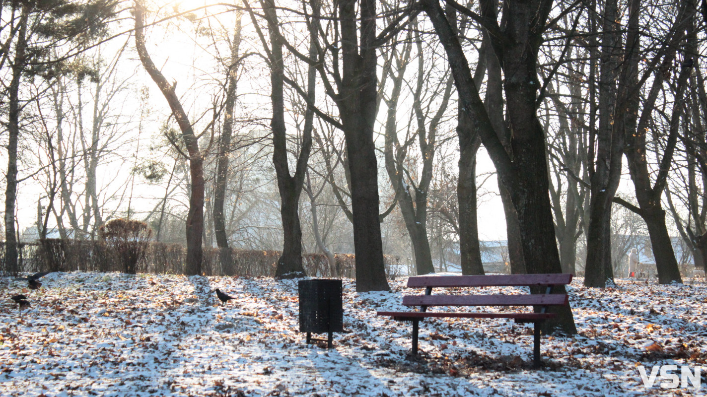 Засніжений Луцьк: як виглядають парки та двори міста взимку напередодні Нового 2026 року. Фоторепортаж