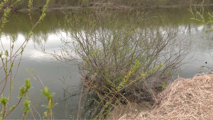 10 днів надії і трагічний фінал: рятувальники Рівненщини розповіли, як шукали 4-річного хлопчика