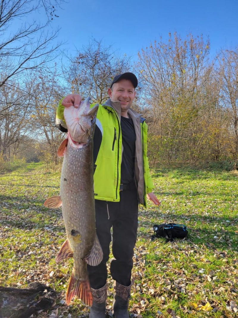 Гігантську щуку впіймав рибалка на Рівненщині. Фото