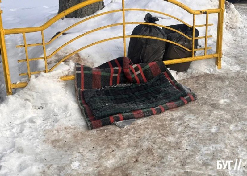 У Володимирі мешканці облаштовують «пункти тепла» для безпритульних собак