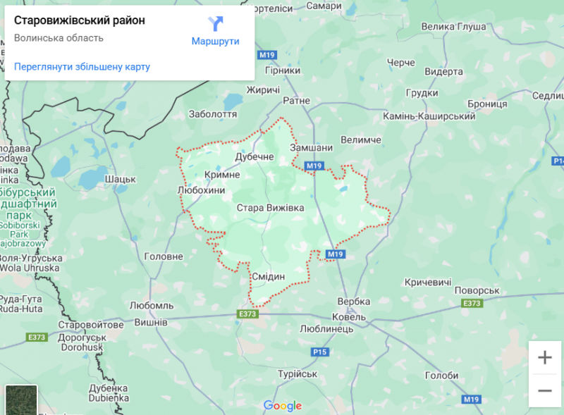 Грибний бум на Волині: де шукати білі, лисички та опеньки