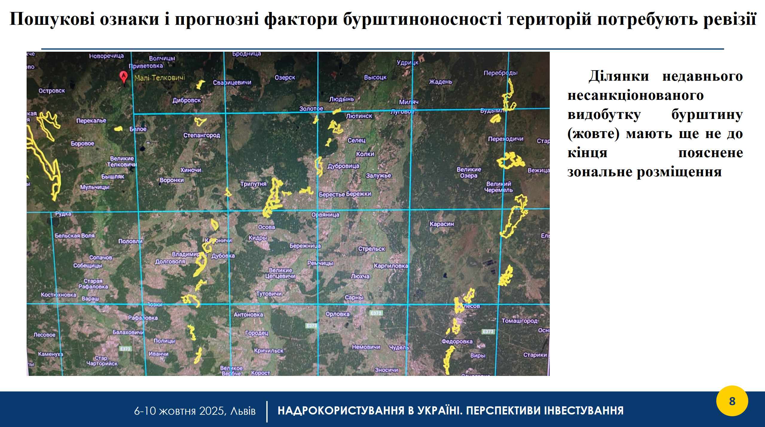 Бурштиноносні ділянки на Поліссі: підсумок доповіді на конференції «Надрокористування в Україні. Перспективи інвестування»