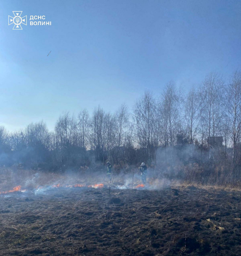 Палають поля: на Волині за день сталося шість пожеж сухостою