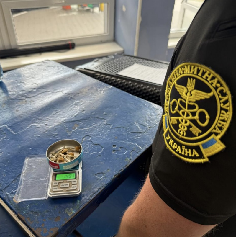 На Волині в пункті пропуску службова собака винюхала у пасажирки психотропні гриби