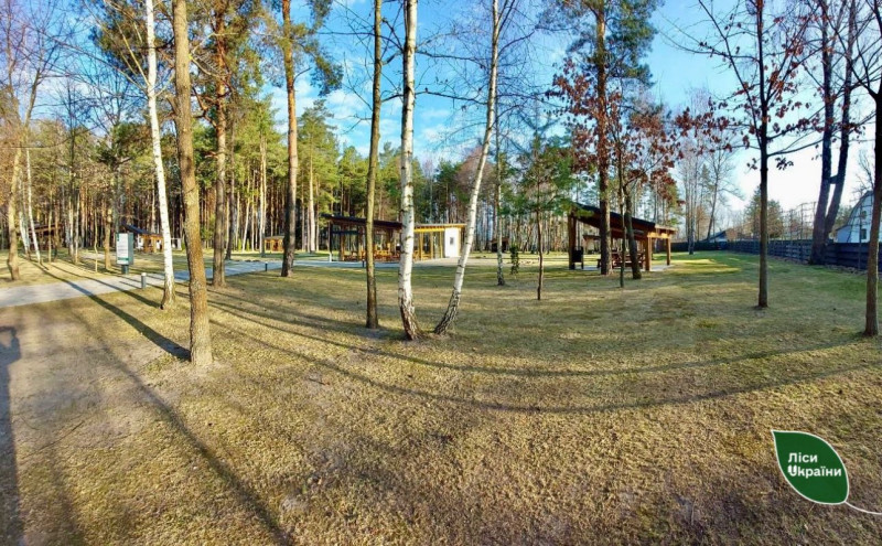 Ліси стають доступнішими: на Волині та Рівненщині готують інклюзивні місця відпочинку