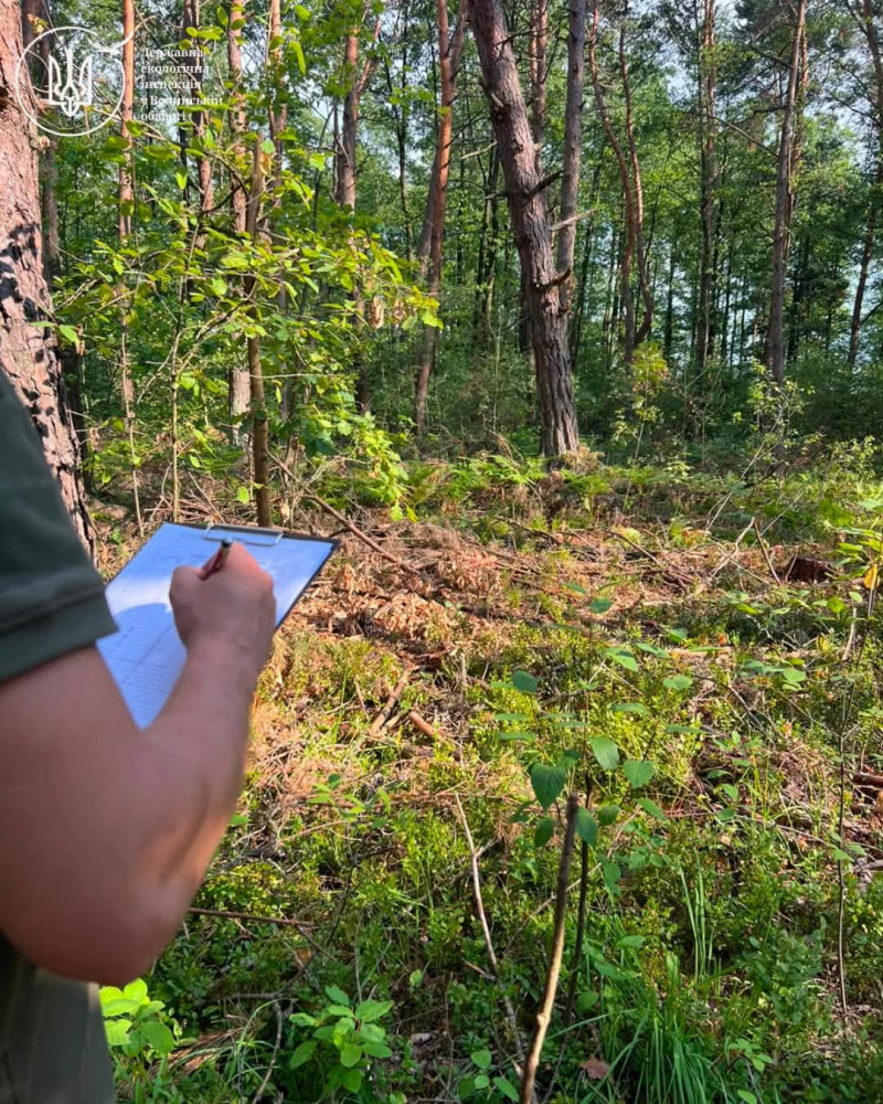 На Волині викрили масштабну незаконну вирубку лісу на понад 5,2 млн гривень