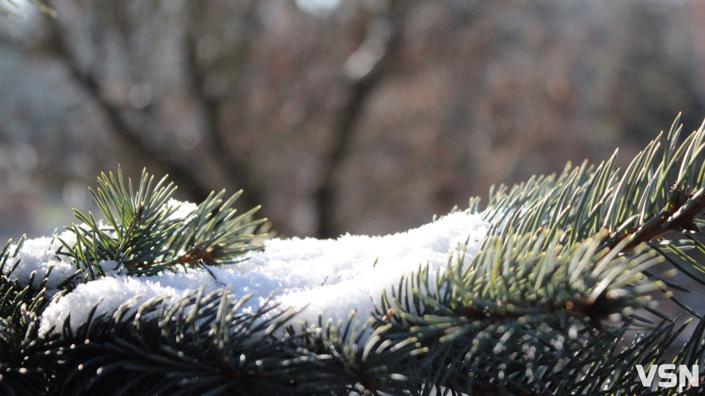 Засніжений Луцьк: як виглядають парки та двори міста взимку напередодні Нового 2026 року. Фоторепортаж