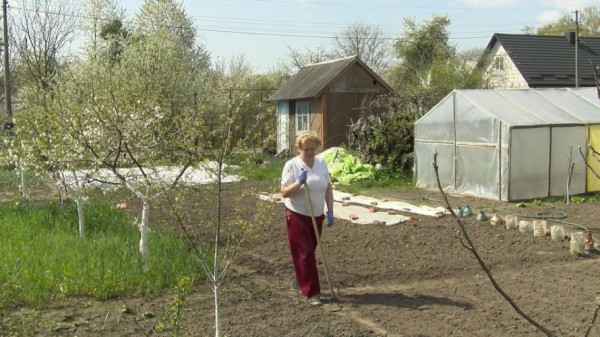Робота на городі відволікає від думок про війну: дачники поблизу Луцька обробляють городи