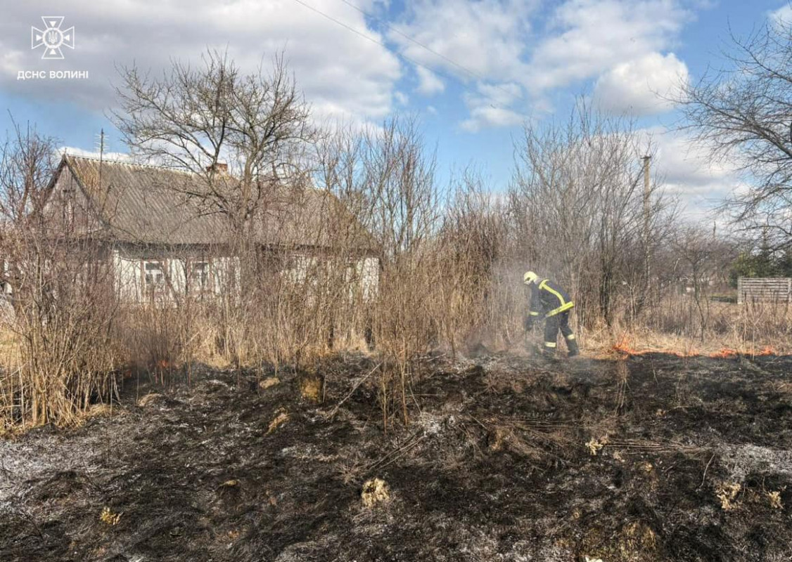 На Волині через людську недбалість згоріли хлів і понад 7 гектарів сухої трави
