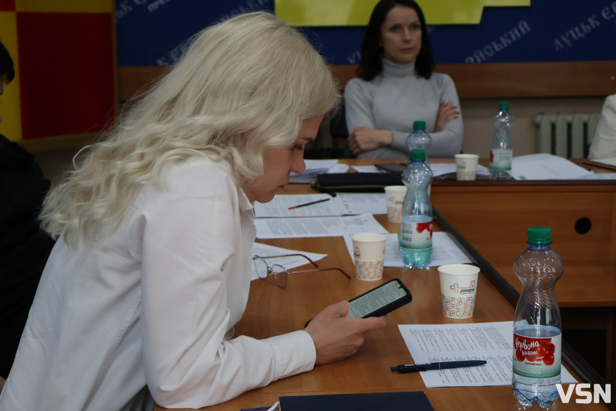 Стан доріг, випадки сказу та спалювання сухостою: у Луцьку прозвітували старости округів