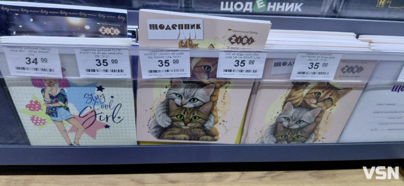 Скільки коштує зібрати дитину до школи у Луцьку: огляд цін на канцелярію