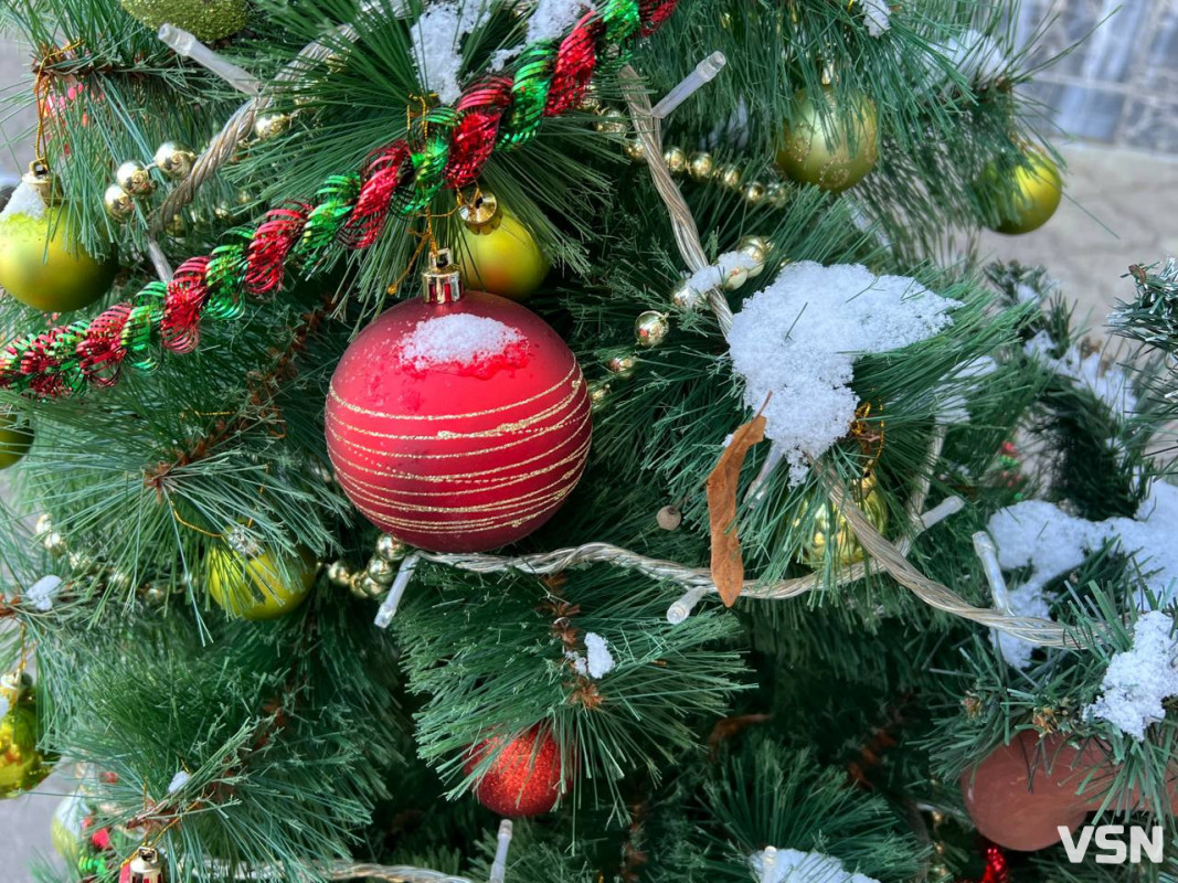 Від перших снігів до лютневих відлиг: якою була зима у Луцьку. Фоторепортаж