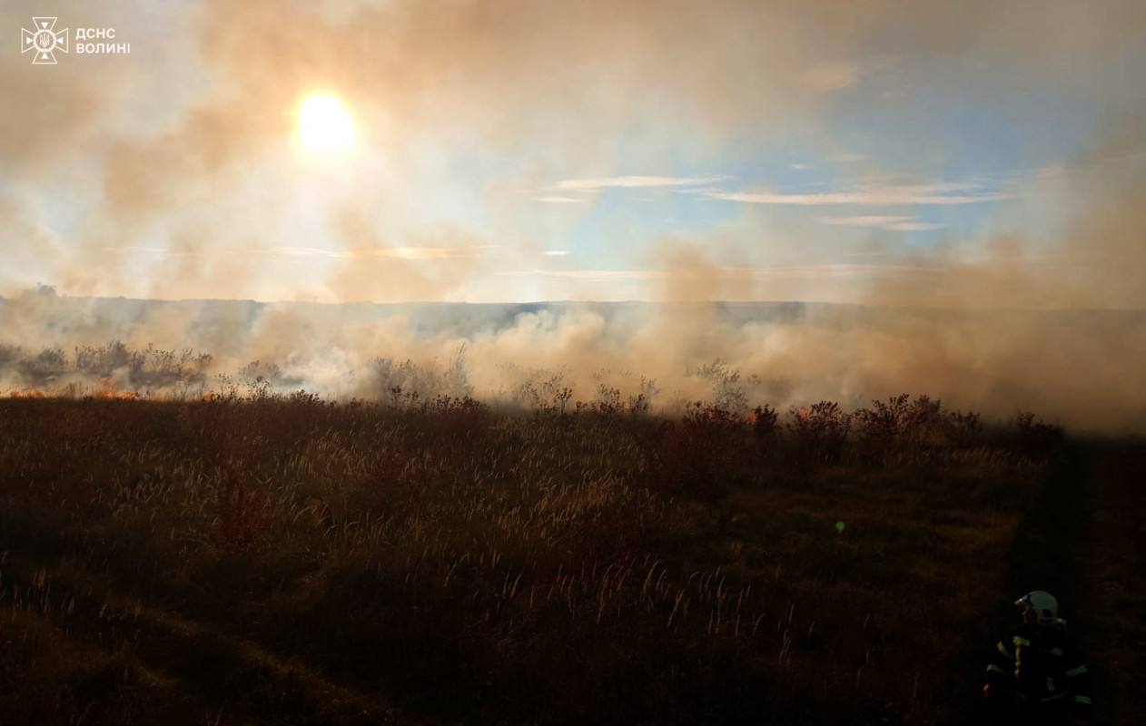 На Волині горіла суха трава на площі 2,5 га