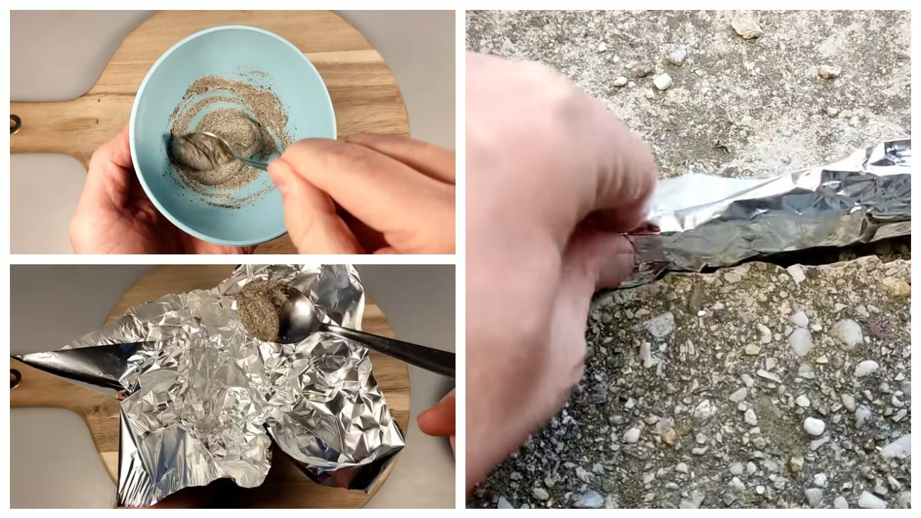 Феноменальний спосіб за 2 хв: як швидко позбутися гризунів восени