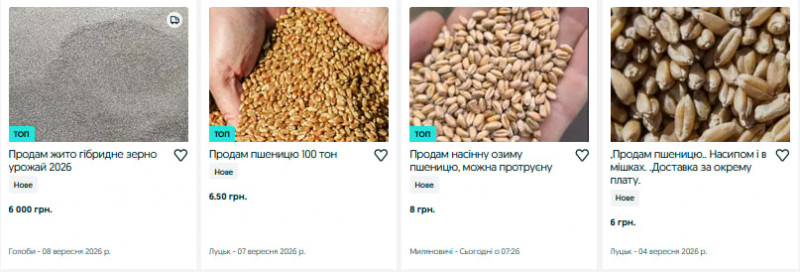Скільки на Волині коштує зерно врожаю 2026 року: огляд цін