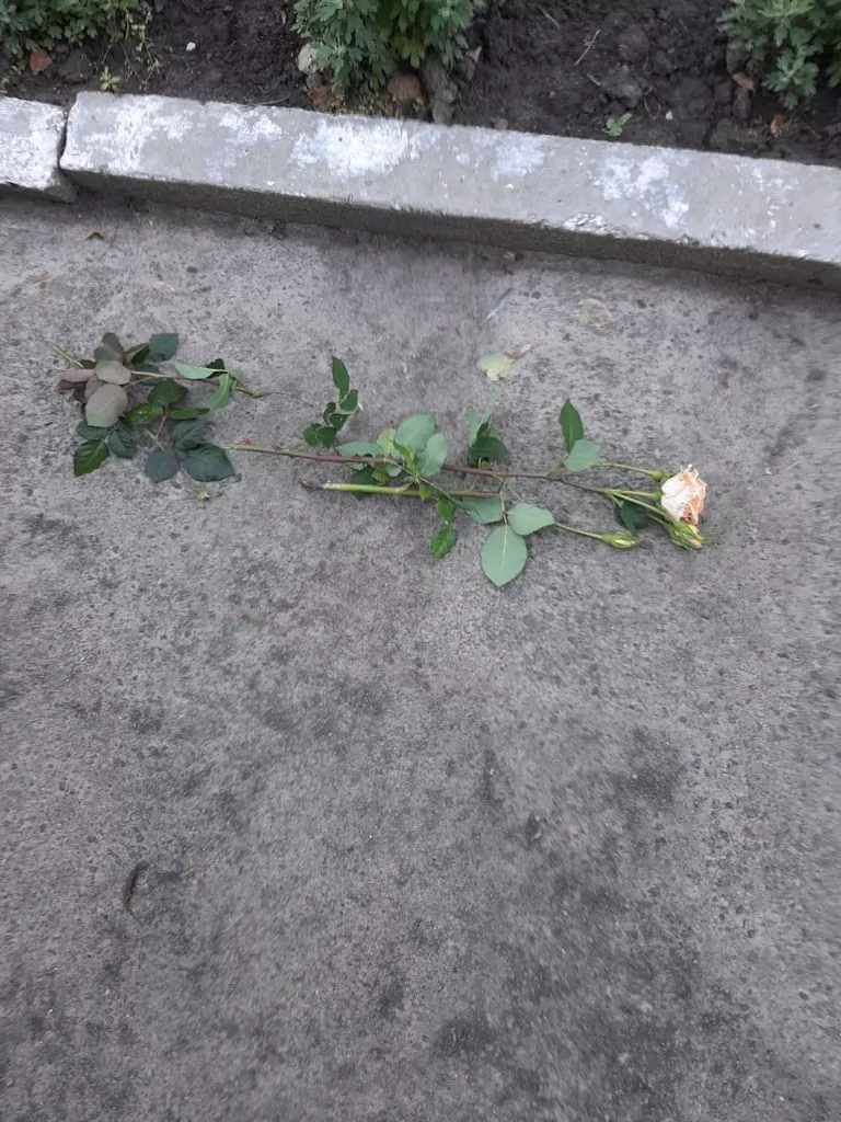 У селищі на Волині вандали знищили квіти, висаджені в пам'ять загиблих Героїв
