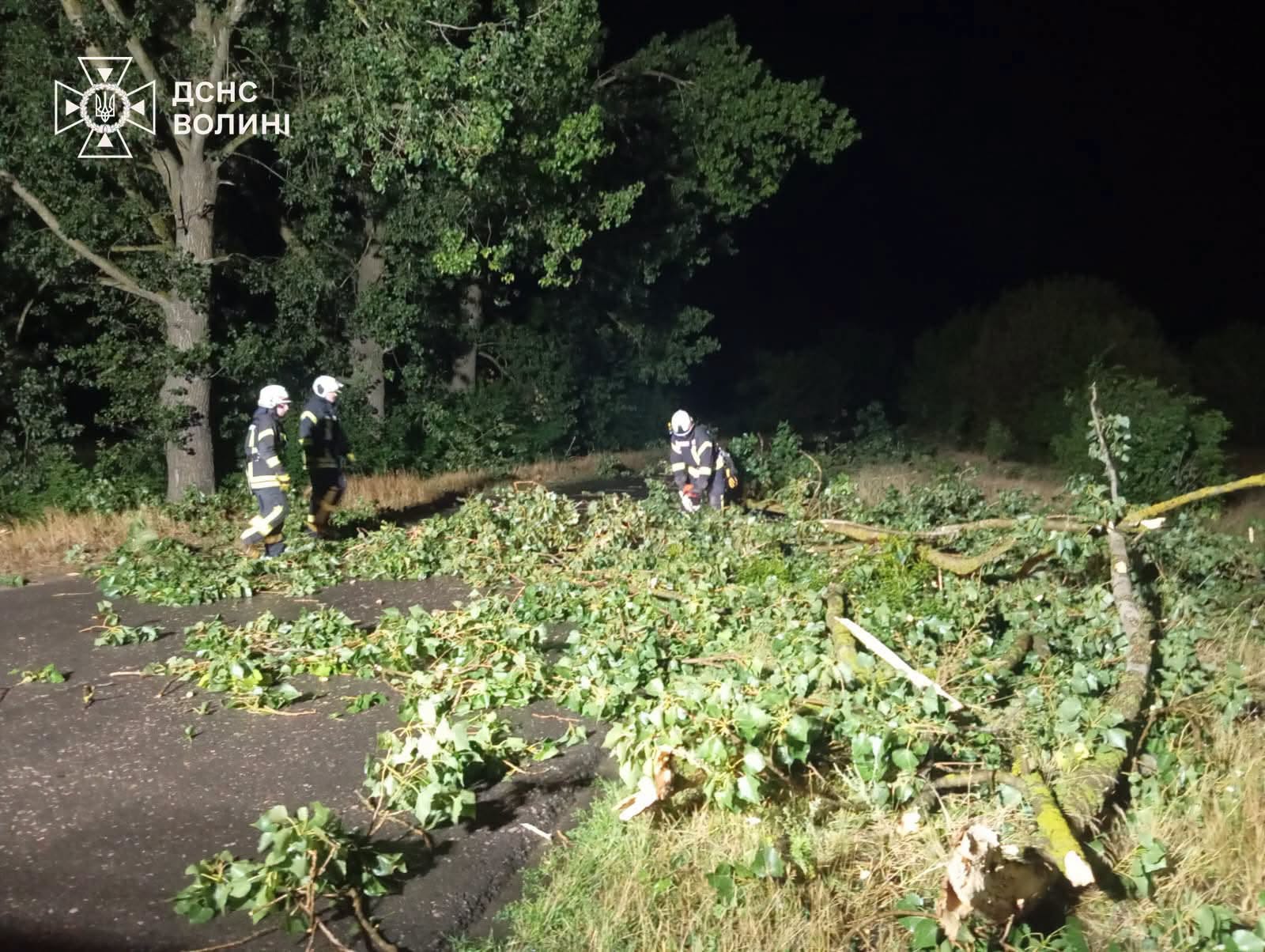У Луцькому районі негода повалила дерева