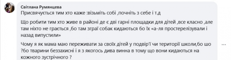 У  Нововолинську зграї безпритульних собак лякають дітей і батьків