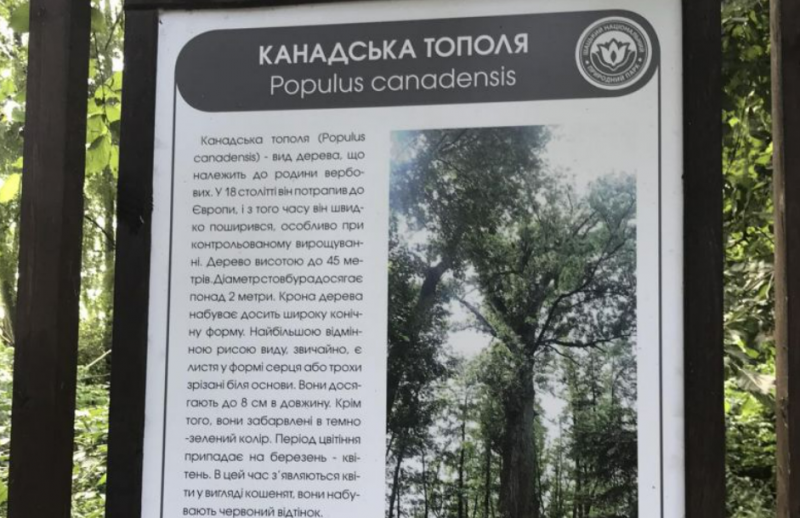 Пташина симфонія, лікувальні водорості та обійми з тополею: чим приваблює туристів острів озера Світязь