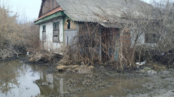 Підтоплені будинки і затоплені поля: як на Волині долають наслідки повені
