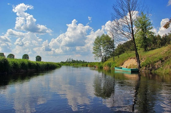 Річки Волині впали нижче історичних мінімумів: де вода досягла рекордних позначок
